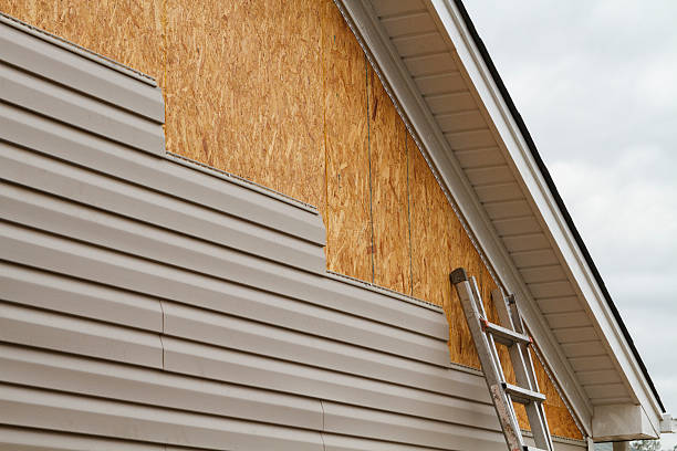Professional Siding Inspection technician working in Maynard, MA